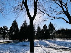 -中国人民抗日战争纪念雕塑园