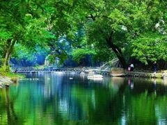 -鹿亭中村