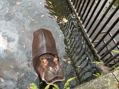 -海南热带野生动植物园