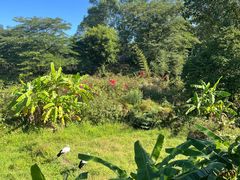 -泉州海丝野生动物世界