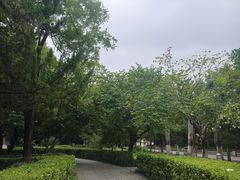 -莲湖公园