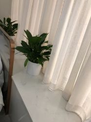 -悟空祛痘·诺奖技术专业店