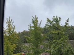 -八奇洞景区