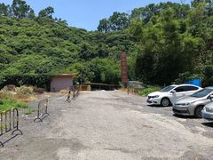 -鲤鱼塘农家山庄