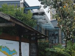 -华侨城湿地公园