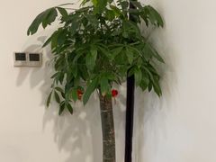 -千滋百味·醉江澜花园餐厅(街道口店)