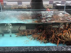 -鸿星花园酒家(银亿家园店)