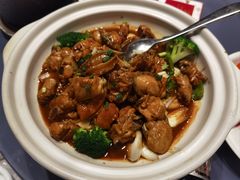 鲍鱼烧鸡-丽华园(青少年宫店)
