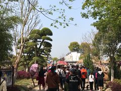 -武汉紫薇都市田园