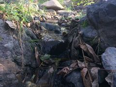-云岫谷自然风景区