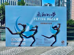 -凤凰中心