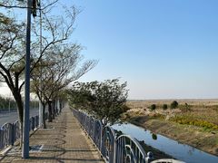 -南汇嘴观海公园