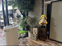 点击看大图 -Cima salon西玛沙龙