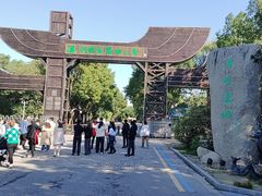 -溱湖国家湿地公园