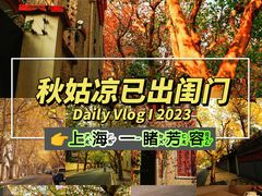 -隐溪茶馆(静安寺店)
