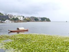 -海韵人家.海景花园经典云南菜(双廊店)