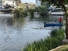 -荔湾湖公园
