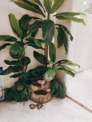 -健身堂科技美肌SPA