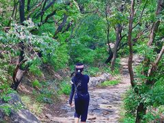 -阳台山自然风景区