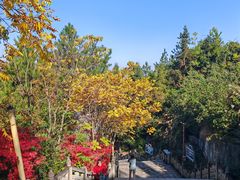 -重庆云阳龙缸景区