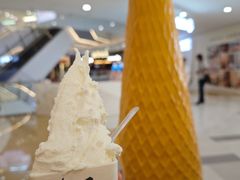 -野人先生Gelato(上海长宁龙之梦店)