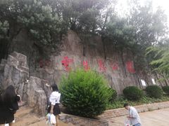 -长虫山生态公园风景林