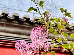 -潭柘寺景区