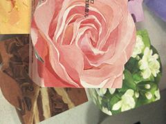 -乐纯(苹果社区店)