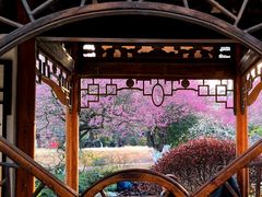 -杭州植物园