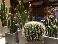 -蜜桃餐厅·伴山(湖滨商业街店)