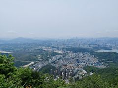 -梧桐山风景名胜区