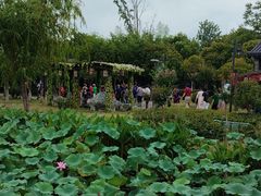 -董永七仙女文化园