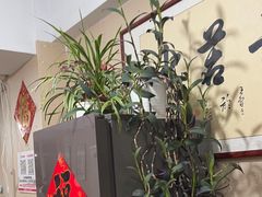 -楚氏正骨推拿按摩院(九水东路店)
