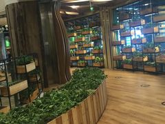 -滨江森林公园-真人CS野战场