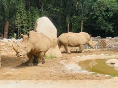 -北京野生动物园