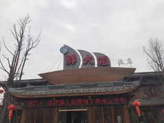 -胖大姐黄辣丁鱼庄(新津店)