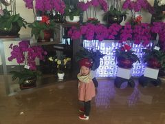 -富力希尔顿酒店·地阔自助餐厅