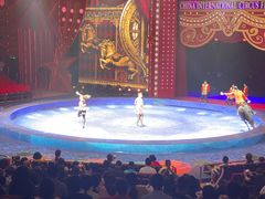 -珠海横琴长隆《卡卡虎奇遇记》