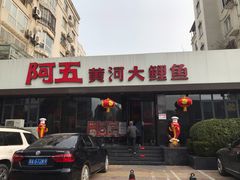 -阿五黄河大鲤鱼(英协路店)