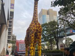 -台场海滨公园船码头