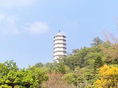 -深圳国际园林花卉博览园