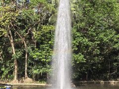 -九龙公园