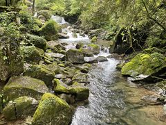 -青城山