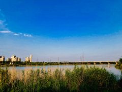 -永定河休闲森林公园