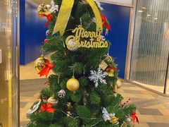 -大渔·观筵(三里屯太古里店)