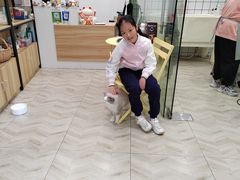 -Pets First伊珊娜洗护·精致美容·家庭式寄养(新会路店)