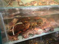 -超级物种(省府店)