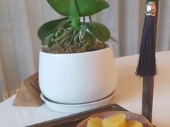 -蘇锦宴·淮扬菜烤鸭·小院(三元桥霄云路店)