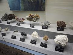 -甘肃地质博物馆