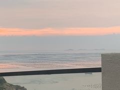 -枸杞岛